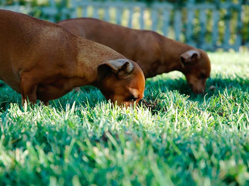 sudoku cooperative play screenshot 1